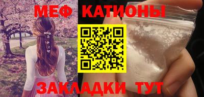 прущие грибы Краснознаменск