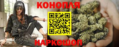 прущие грибы Краснознаменск