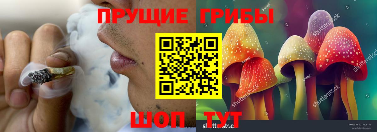 Псилоцибиновые грибы прущие грибы Россошь
